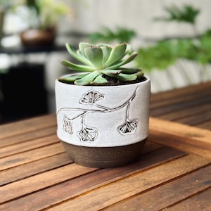 May include: A white ceramic planter with a brown base features a raised design of a ginkgo leaf branch. The planter is filled with soil and a green succulent plant.