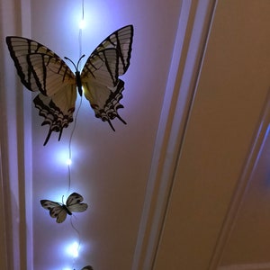 May include: A string of white fairy lights with three butterfly decorations. The butterflies are white with black markings and are arranged in a descending size order. The lights are strung on a white ceiling.