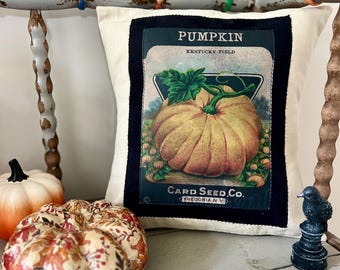 Vintage Pumpkin Seed Pillow: Linen & Black Suede Fall Decor