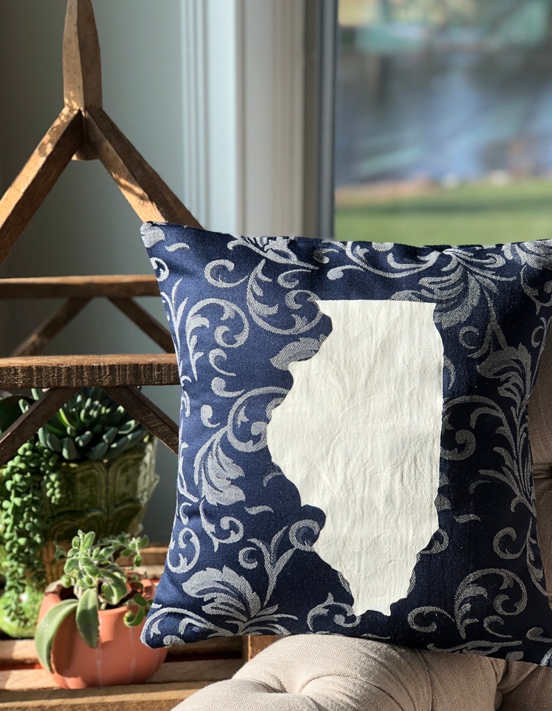 Illinois State PillowIllinois Decor