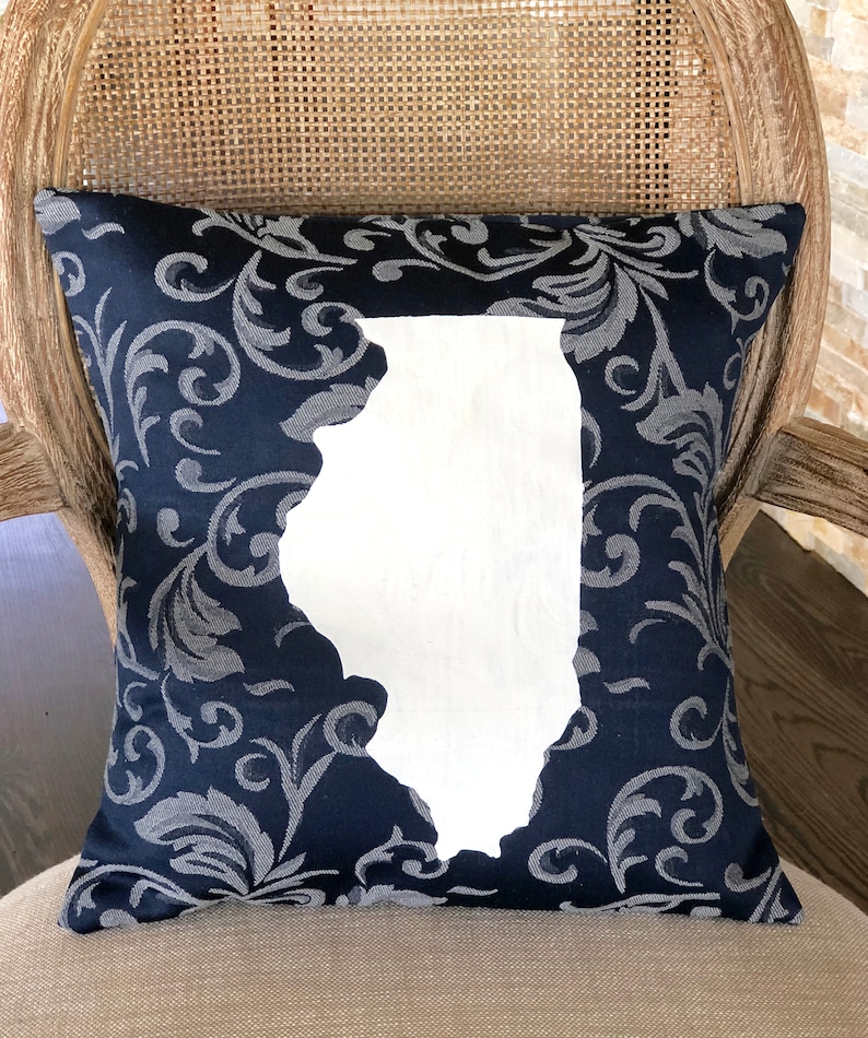 Illinois State PillowIllinois Decor
