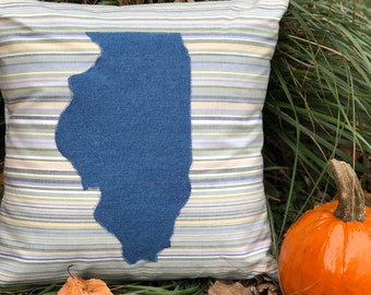 Illinois State Pillow/Lake House Pillow/Illinois Decor