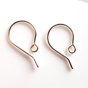 May include: Two silver earring hooks, each with a small loop at the end.