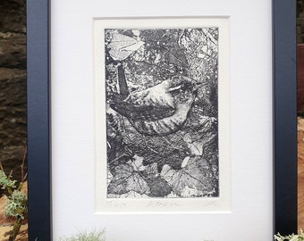 Wren Etching