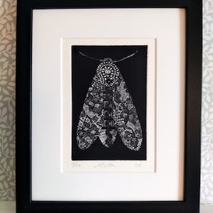 Dark Moth Print. Handmade Limited Edition Etching
