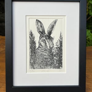 Hare Print. A hand printed, limited edition etching.
