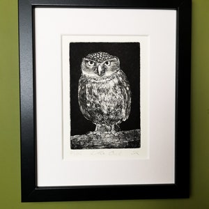 Little Owl Etching