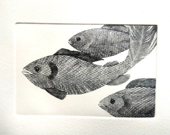 Fish Print ' Silver Darlings'