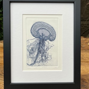 Jelly Fish Etching