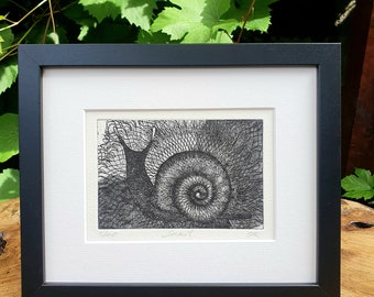 Snail with Lace Shell Etching. Original hand made print