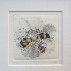 Puede incluir: Un grabado en blanco y negro de una flor con tres abejorros sobre ella. El grabado está titulado "Bees" y numerado 6/50.