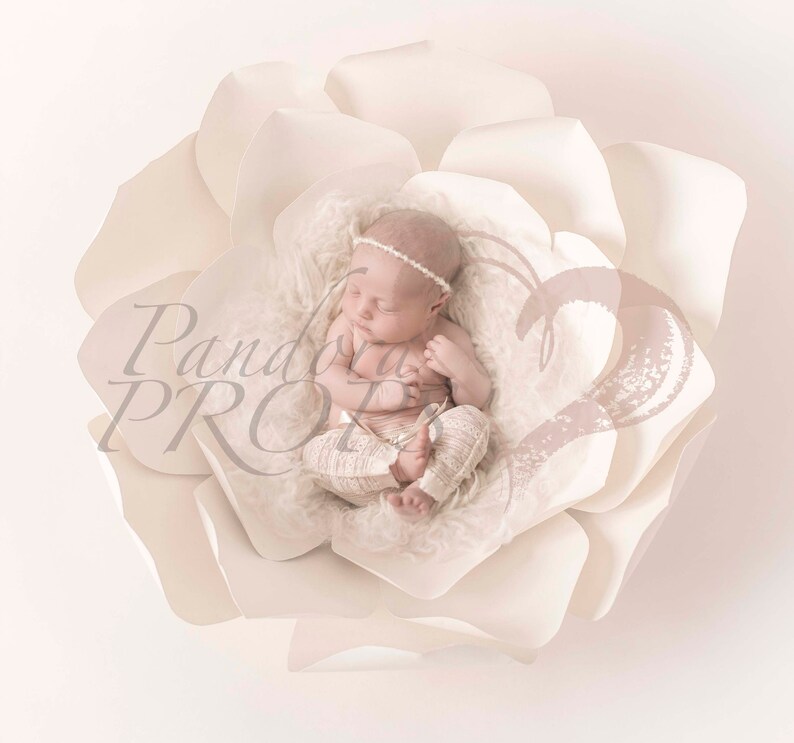 digital backdrop - newborn photography - ivory flower nest digital backdrop - newborn photography - ivory flower nest