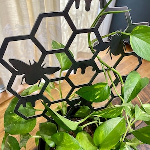 May include: Black metal honeycomb plant stand with two bee silhouettes. The stand is decorated with dripping honey accents. The stand is placed in a pot of green leafy plants.