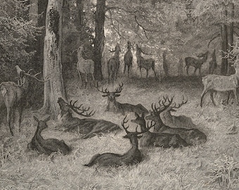 1868 The Sick Stag - Original engraving from &quot;Fables de La Fontaine&quot;  - Buy 2 get 1 free from this book!