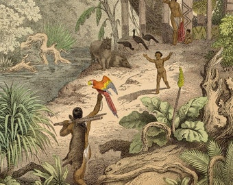 South America jungle scene - VERY RARE - Original lithography out of "Das Buck der Welt" 1868