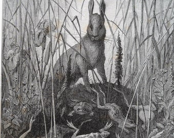 The Hare and the Frogs engraving by Gustave Doré - La Fontaine - Original engraving from &quot;The Dore Gallery&quot; Edmund Ollier 1870