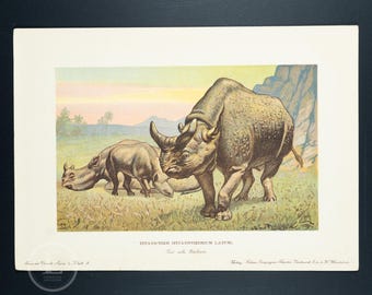 1902 MEGACEROPS, Large Rhinoceros from the Eocene Epoch - Vintage print from Tiere der Urwelt (Creatures of the Primitive World)