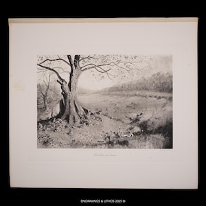 May include: Black and white print of a pastoral scene featuring rabbits. A large tree dominates the foreground, with rabbits gathered around its base and scattered across a grassy field. The print is titled "Rabbits at home".