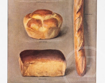 Bread - Original Vintage Color lithography 1911