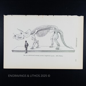1897 TRICERATOPS SKELETON (triceratops prorsus) – Vintage Dinosaur Skeleton Print from Extinct Monsters