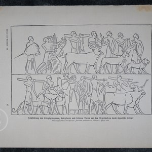 Egyptian warriors continue lead of war, spoils of war, exotic animals from Africa . Weltall und Menschheit 1904 Astronomy print, celestial