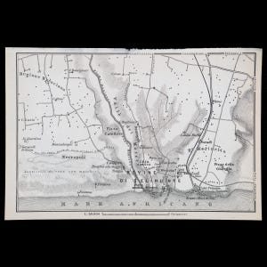 May include: A black and white historical map of the Rovine di Selinunte region, featuring topographical details, labelled landmarks, and coastal areas along the Mare Africano. The map includes a scale bar of 1:50,000 and various geographic annotations.