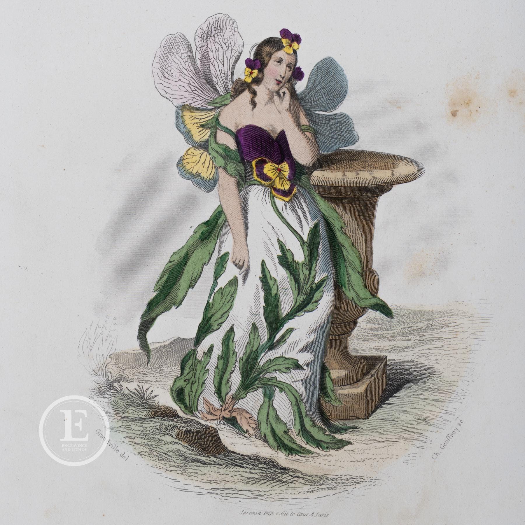 1867 THE PANSY FLOWER / Hand-colored Plate From 
