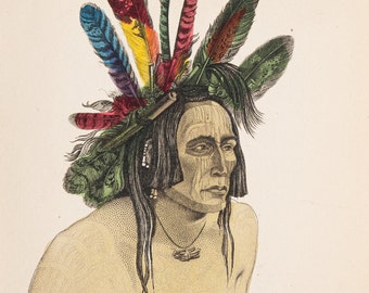 May include: A portrait of a Native American man wearing a headdress made of feathers in various colours, including red, green, yellow, and blue. He has long black hair and is wearing a necklace with a pendant.