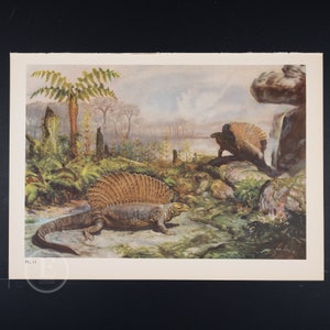 Edaphosaurus: Extinct Prehistoric Reptiles - Original Vintage Lithograph print of Extinct Prehistoric Animals from 1960.