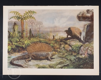 Edaphosaurus: Extinct Prehistoric Reptiles - Original Vintage Lithograph print of Extinct Prehistoric Animals 1960