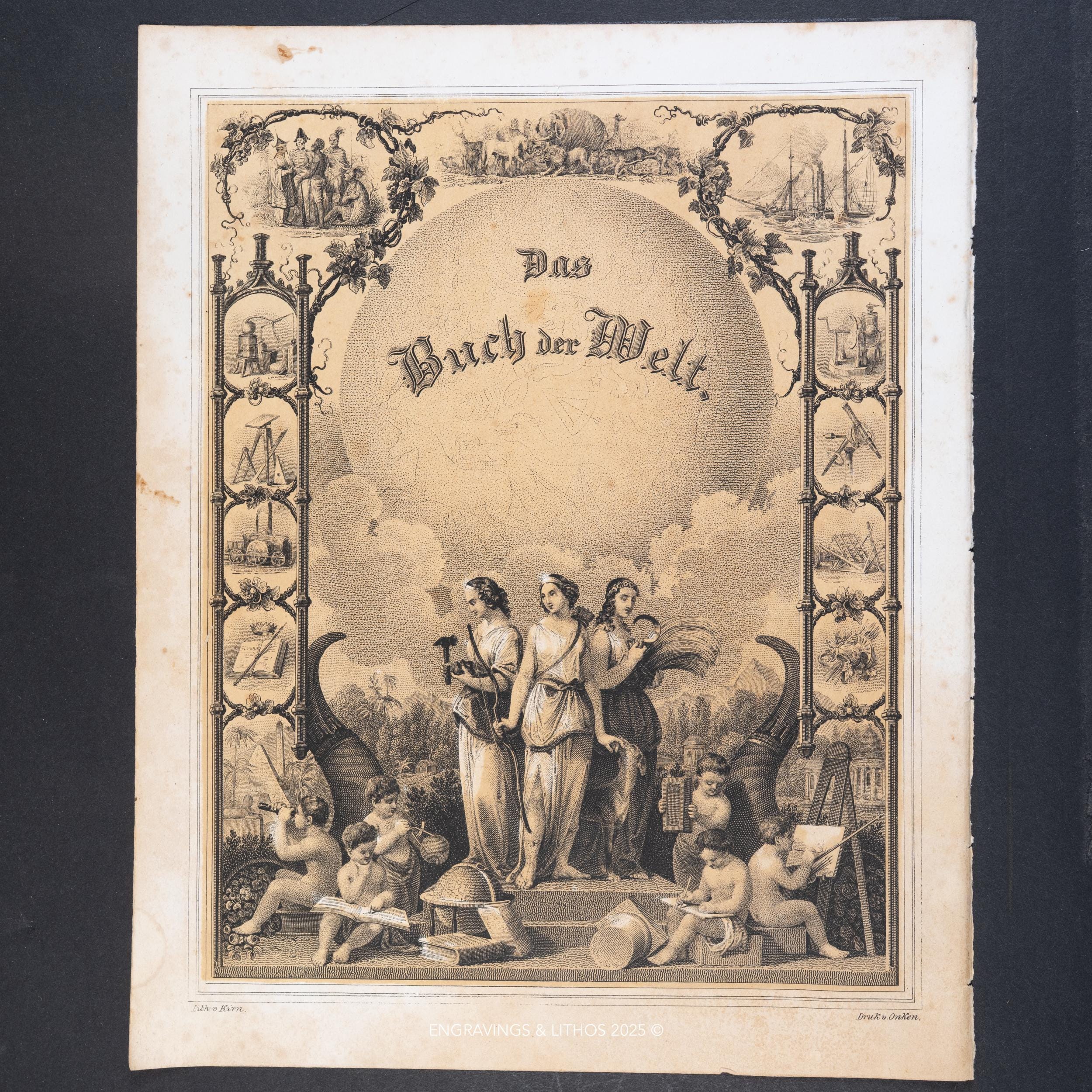 1843年 カニ – 手彩色甲殻類図版 – ブック・オブ・ザ・ワールド - Etsy