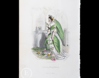 本 Bizarreries and Fantasies of Grandville