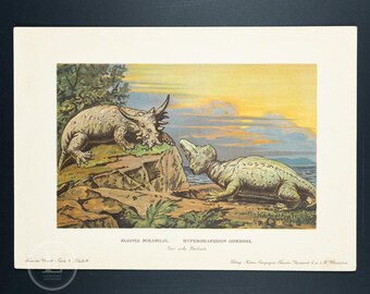 1902 HYPERODAPEDON GORDONI,  Reptile from the Late Triassic - Vintage print from Tiere der Urwelt (Creatures of the Primitive World)