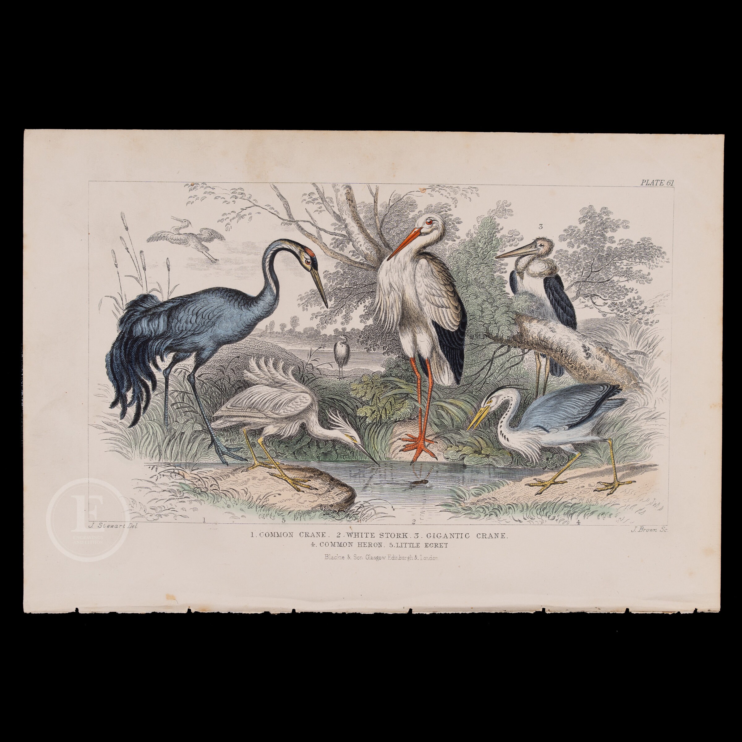 Turner Egret 1950年代 白鷺￼ オリジナル版 ミッドセンチュリー Turner Egret 1950年代 白鷺￼ オリジナル版 ミッドセンチュリー