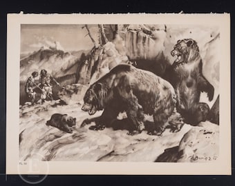 Oso cavernario de la era del Pleistoceno - Litografía original de época de animales prehistóricos extintos, 1960