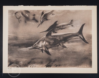 Eurhinosaurus: Extinct Aquatic Reptiles from Early Jurassic - Vintage Lithograph print of Prehistoric Animals 1960