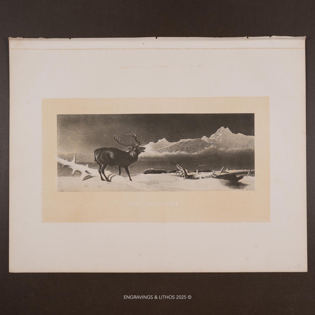 Heliotype Examples 1876 – the Challenge – Antique Heliotype Print After Landseer - Etsy