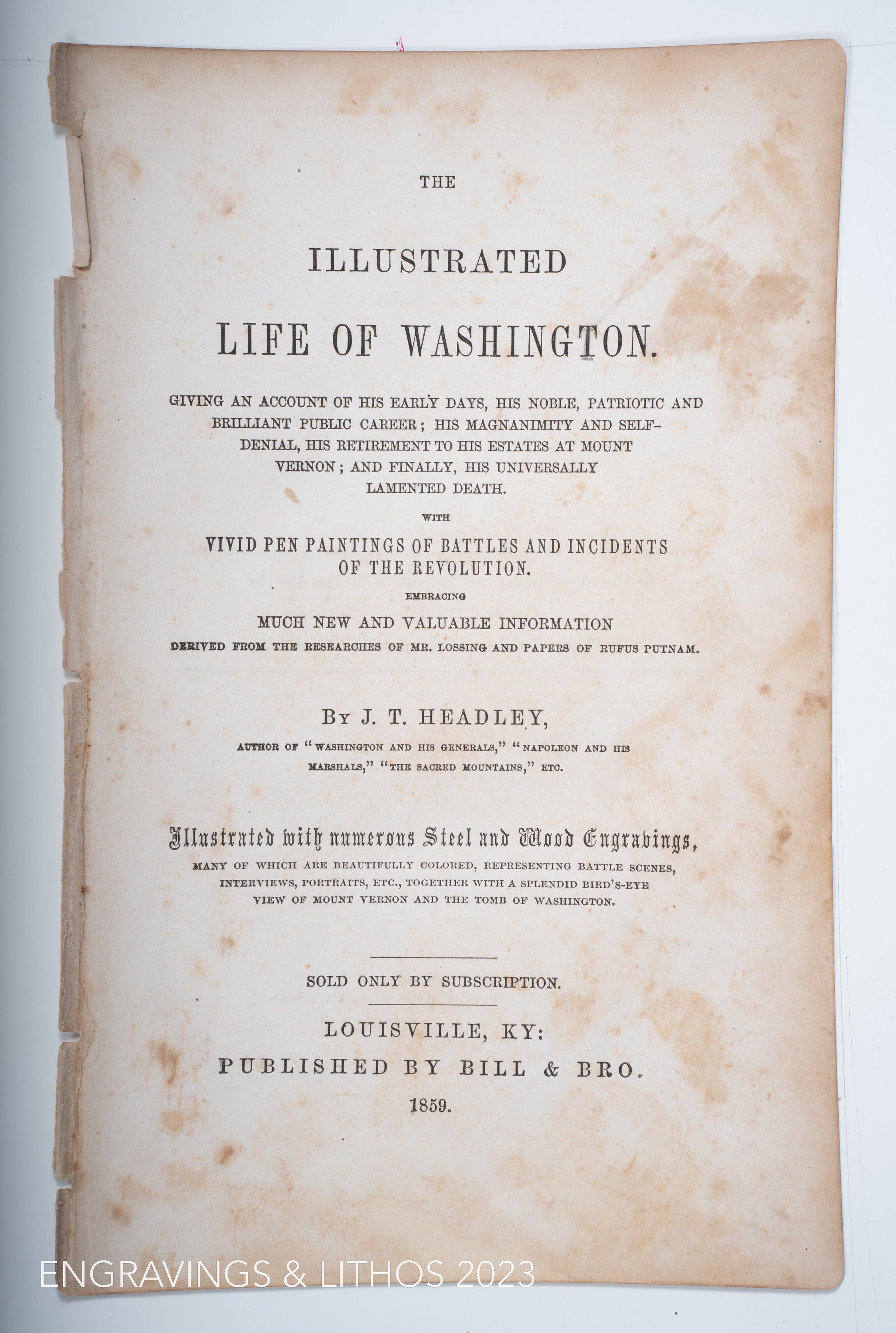 試し出品 カワサキ Ninja ZX－4RR 40周年モデル