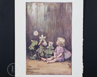 1940 La fée oseille - Lithographie 1940 par Cicely Mary Barker