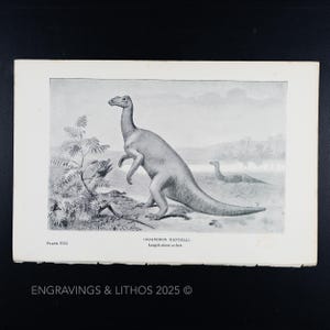 1897 DINOSAURIO IGUANODON (Iguanodon mantellis) – Impresión original de monstruos extintos ilustrada por J. Smit