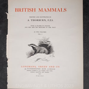 Walrus - Vintage Print From the Book "british Mammals" A. Thornburn ...