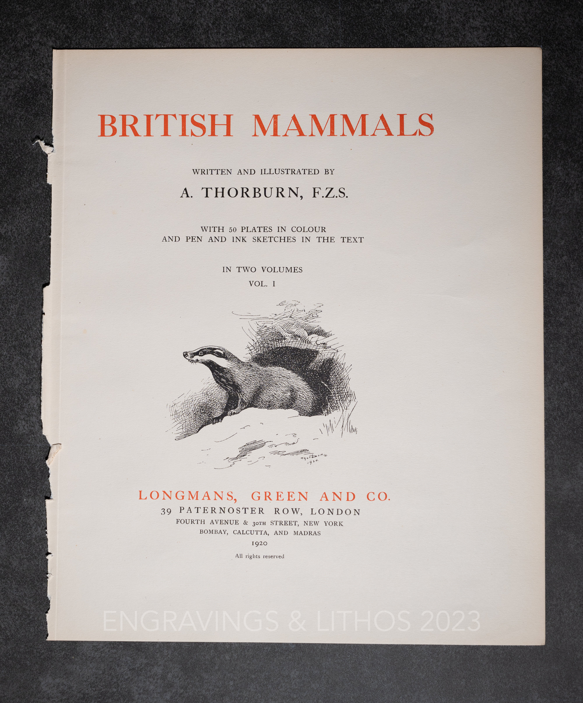 Grey Seal - Vintage Print From the Book "british Mammals" A. Thornburn ...