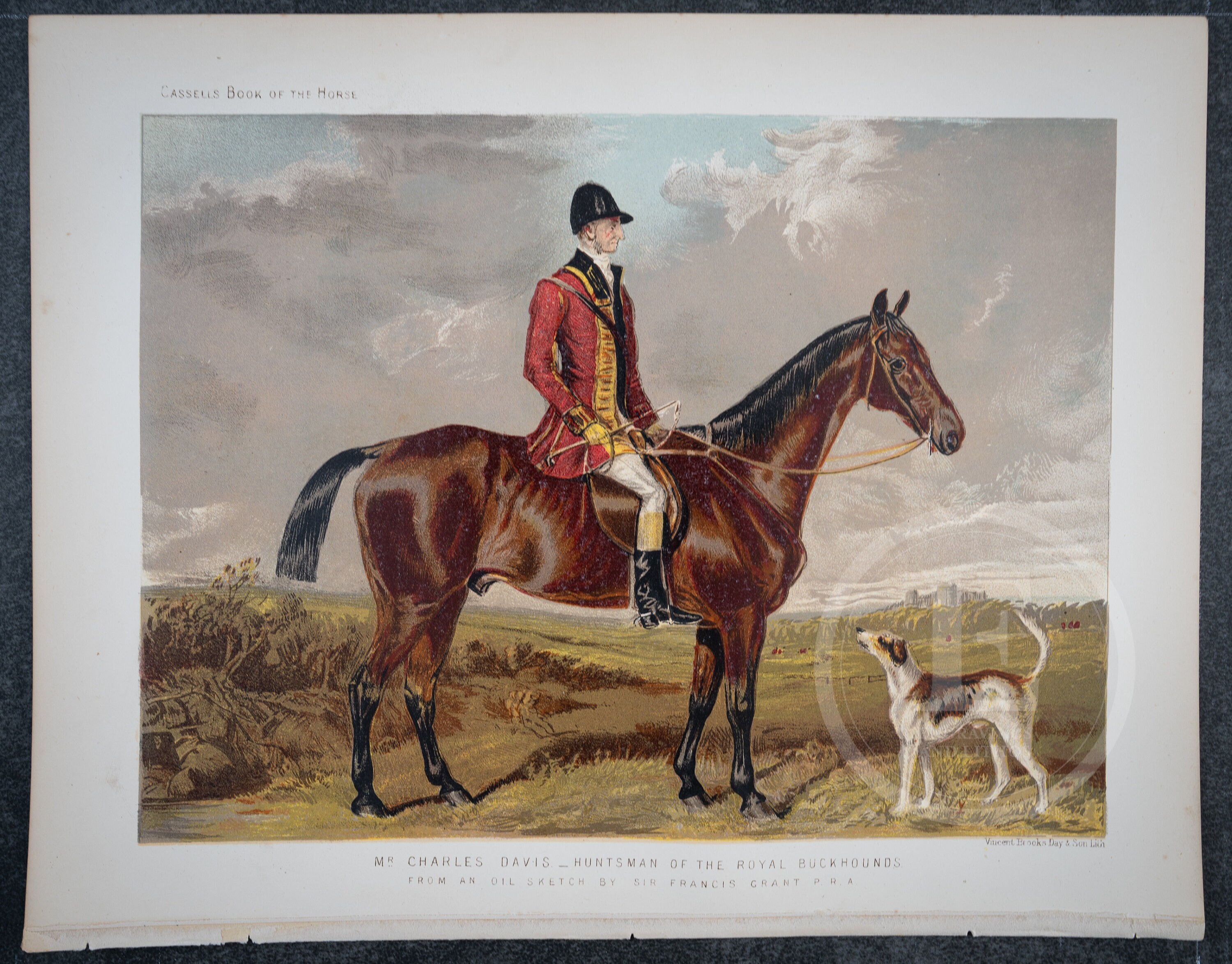 Huntsman of the Royal Buckhounds on horse - RARE ORIGINAL PRINT - Antique Horse color lithograph from 1886