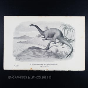 May include: A black and white illustration of a Brontosaurus dinosaur, a large herbivore, standing on a riverbank. The dinosaur is depicted as being nearly 60 feet long. The text "PLATE IV. A GIGANTIC DINOSAUR, BRONTOSAURUS EXCELSUS. Length nearly 60 feet." is printed below the illustration.