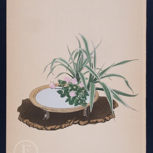 May include: A floral arrangement featuring pink roses and green foliage in a round, wooden bowl with a reflective surface. The bowl sits on a brown, textured base.