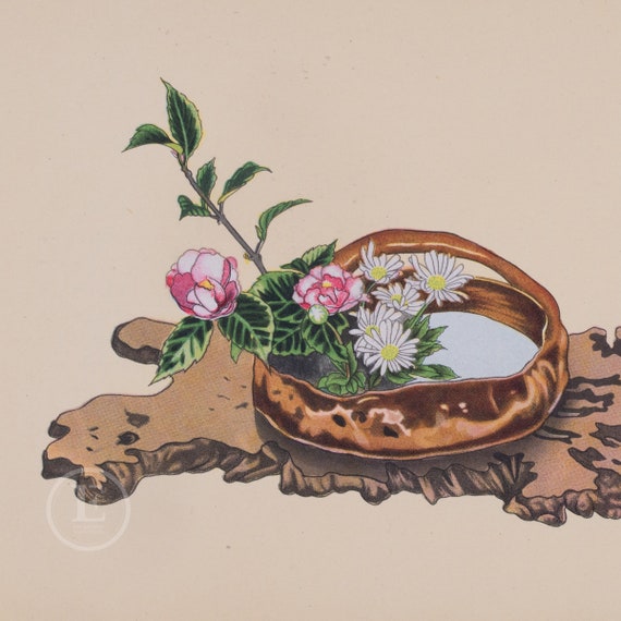 椿と菊 - 盛花と平花の選集 - 1936年のヴィンテージリトグラフ
