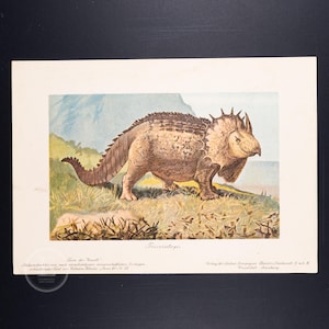 1911 TRICERATOPS, Dinosaurs from the Late Cretaceous Period - Original from Tiere der Urwelt - (Creatures of the Primitive World - Serie 2)