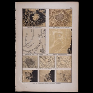 The lunar landscape around Hyginus crater - Exquisite Plate - VERY RARE ORIGINAL from a German astronomy book from 1888