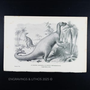 1897 DINOSAURIO GIGANTE (Iguanodon bernissartensis) – Impresión original de Monstruos Extintos ilustrada por J. Smit