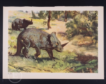 Monoclonius: Herbivorous Dinosaur from Late Cretaceous Period -  Original Vintage Lithograph print of Extinct Prehistoric Animals 1960